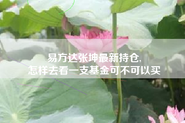 易方达张坤最新持仓,
怎样去看一支基金可不可以买