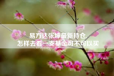 易方达张坤最新持仓,
怎样去看一支基金可不可以买