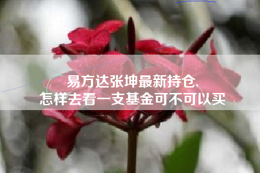 易方达张坤最新持仓,
怎样去看一支基金可不可以买