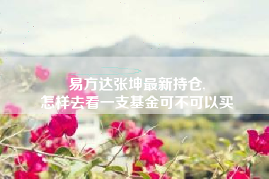 易方达张坤最新持仓,
怎样去看一支基金可不可以买