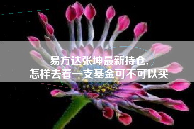 易方达张坤最新持仓,
怎样去看一支基金可不可以买