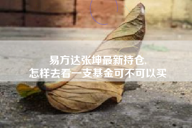 易方达张坤最新持仓,
怎样去看一支基金可不可以买