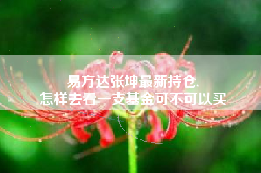 易方达张坤最新持仓,
怎样去看一支基金可不可以买