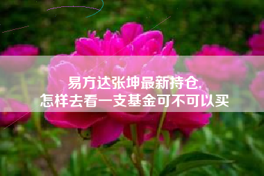 易方达张坤最新持仓,
怎样去看一支基金可不可以买