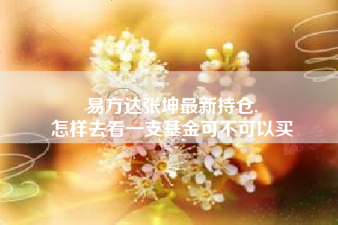 易方达张坤最新持仓,
怎样去看一支基金可不可以买