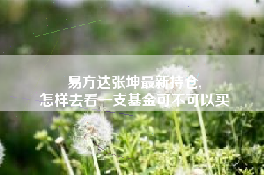 易方达张坤最新持仓,
怎样去看一支基金可不可以买