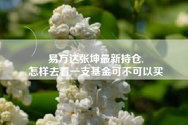 易方达张坤最新持仓,
怎样去看一支基金可不可以买