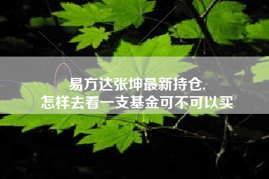 易方达张坤最新持仓,
怎样去看一支基金可不可以买