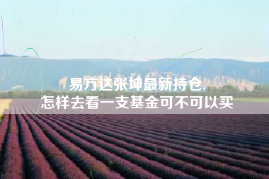 易方达张坤最新持仓,
怎样去看一支基金可不可以买