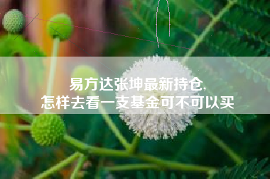 易方达张坤最新持仓,
怎样去看一支基金可不可以买