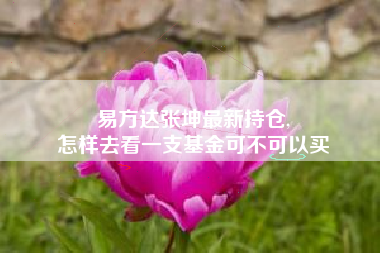 易方达张坤最新持仓,
怎样去看一支基金可不可以买