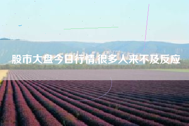 详细阅读:股市大盘今日行情,很多人来不及反应 股市大盘今日行情,很多人来不及反应