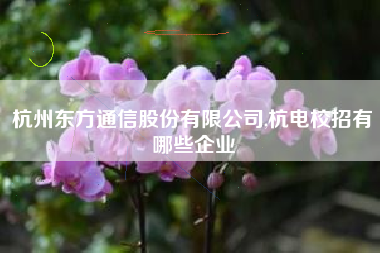 杭州东方通信股份有限公司,杭电校招有哪些企业