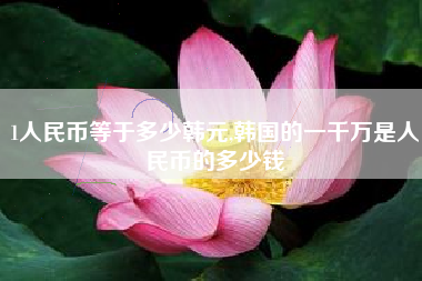 1人民币等于多少韩元,韩国的一千万是人民币的多少钱