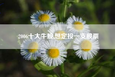2006十大牛股,想定投一支股票