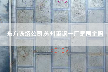 东方铁塔公司,苏州重钢一厂是国企吗