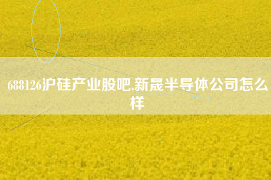 688126沪硅产业股吧,新晟半导体公司怎么样