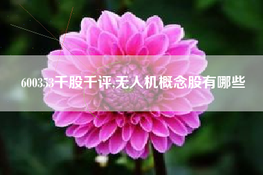 600353千股千评,无人机概念股有哪些