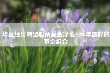 华夏经济转型股票基金净值,2020年最好的基金组合