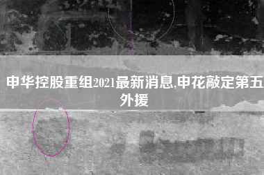 申华控股重组2021最新消息,申花敲定第五外援