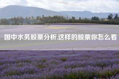 国中水务股票分析,这样的股票你怎么看