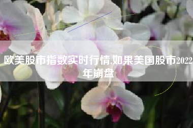 欧美股市指数实时行情,如果美国股市2022年崩盘