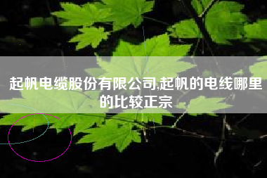 起帆电缆股份有限公司,起帆的电线哪里的比较正宗