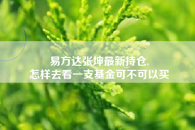 易方达张坤最新持仓,
怎样去看一支基金可不可以买