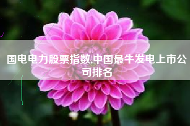 国电电力股票指数,中国最牛发电上市公司排名