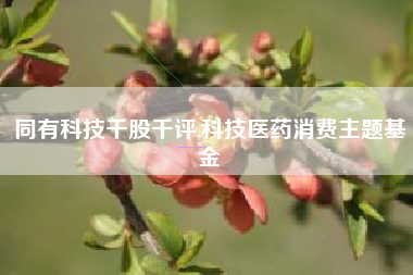 同有科技千股千评,科技医药消费主题基金