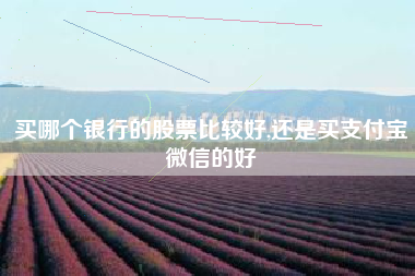 买哪个银行的股票比较好,还是买支付宝微信的好