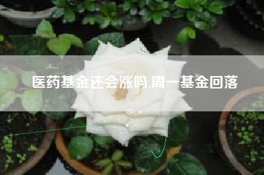 医药基金还会涨吗,周一基金回落