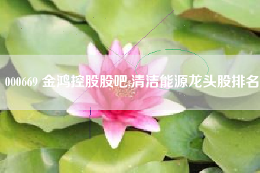 000669 金鸿控股股吧,清洁能源龙头股排名