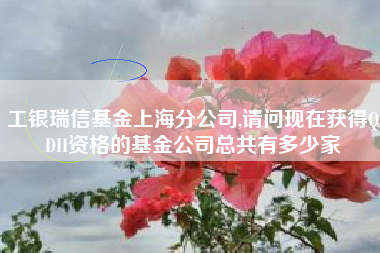工银瑞信基金上海分公司,请问现在获得QDII资格的基金公司总共有多少家