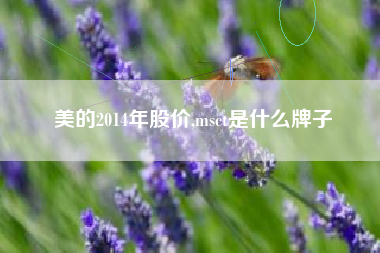 美的2014年股价,msct是什么牌子
