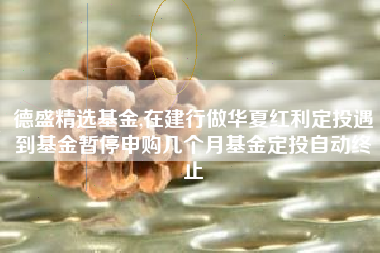 德盛精选基金,在建行做华夏红利定投遇到基金暂停申购几个月基金定投自动终止