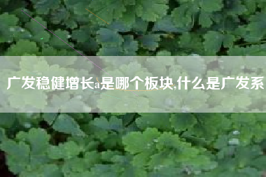 广发稳健增长a是哪个板块,什么是广发系