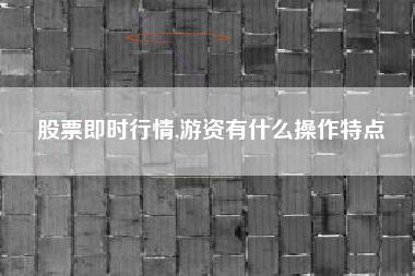 股票即时行情,游资有什么操作特点