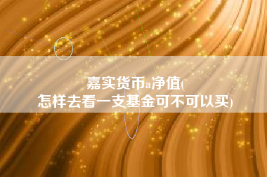 嘉实货币a净值(
怎样去看一支基金可不可以买)