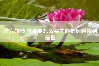 常汽转债,基金要怎么买才能把风险降到最低