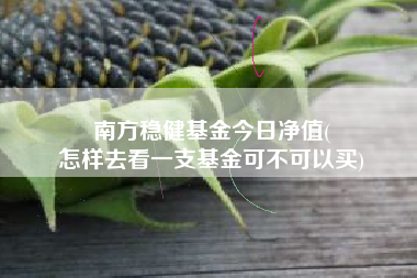 南方稳健基金今日净值(
怎样去看一支基金可不可以买)