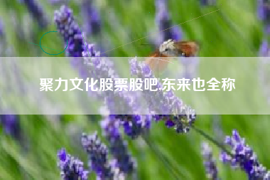 聚力文化股票股吧,东来也全称