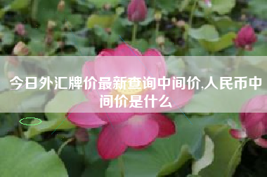 今日外汇牌价最新查询中间价,人民币中间价是什么