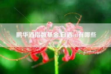 鹏华酒指数基金,白酒etf有哪些