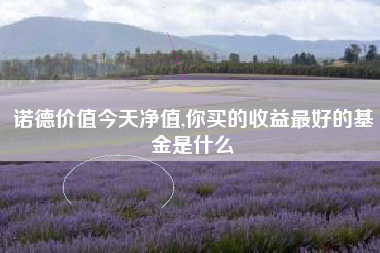 诺德价值今天净值,你买的收益最好的基金是什么