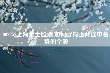 002252上海莱士股票,如何寻找上升途中蓄势的个股
