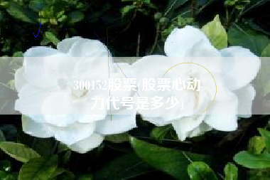 300152股票(股票心动
力代号是多少) 300152股票(股票心动
力代号是多少)