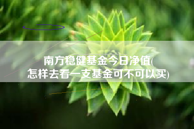 南方稳健基金今日净值(
怎样去看一支基金可不可以买)