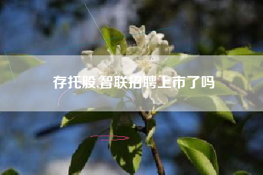 存托股,智联招聘上市了吗