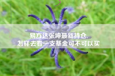 易方达张坤最新持仓,
怎样去看一支基金可不可以买